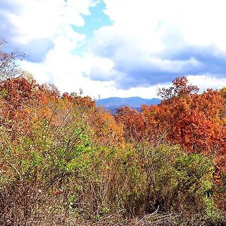 Burnin' Love ガトリンバーグ エクステリア 写真